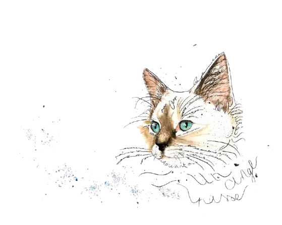 Séances accompagnement