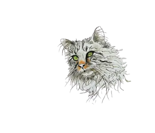 portrait animalier personnalisé à Lignières-Ambleville