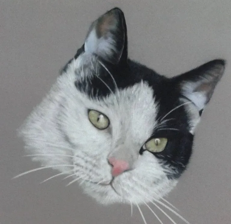 Créations Aline Quod (52)