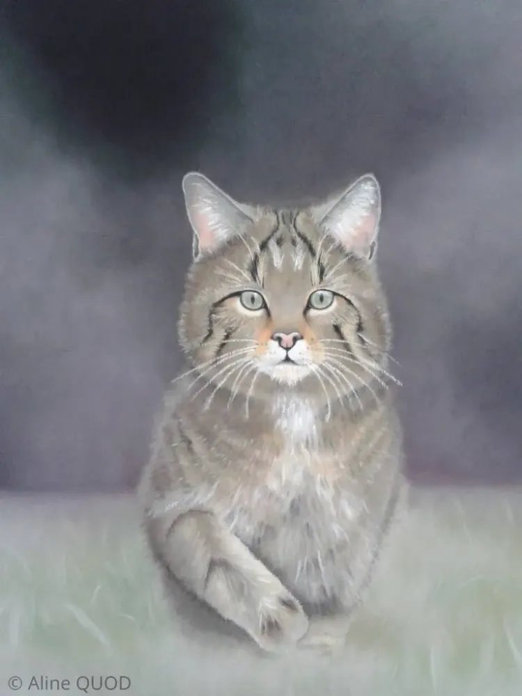 Créations Aline Quod (42)