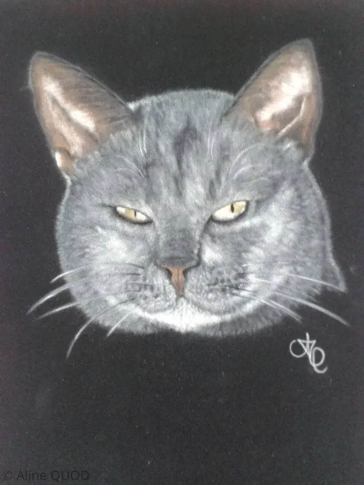 Créations Aline Quod (40)