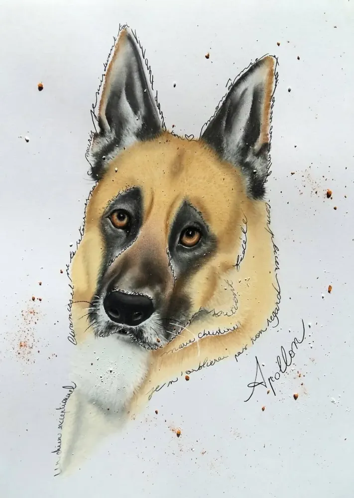 Créations Aline Quod (36)