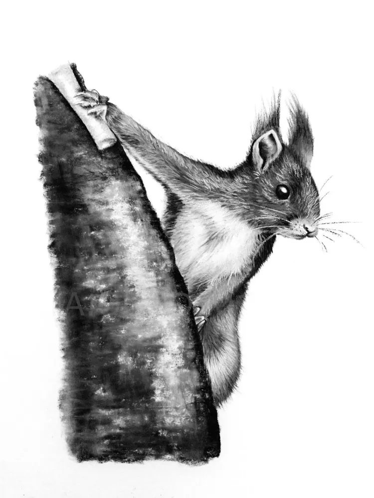 Créations Aline Quod (32)