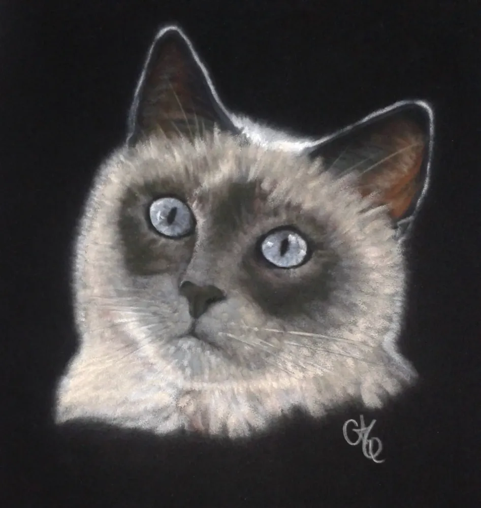 Créations Aline Quod (13)