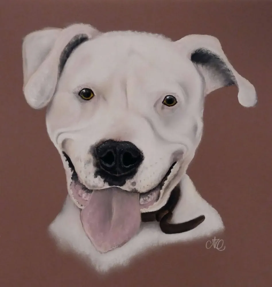 Créations Aline Quod (10)