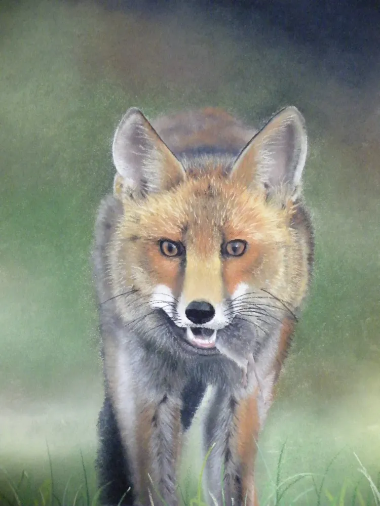 Créations Aline Quod (7)