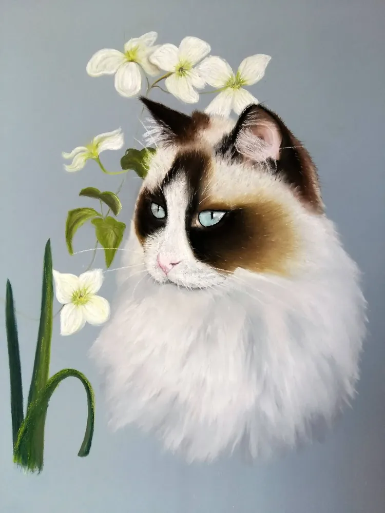 Créations Aline Quod